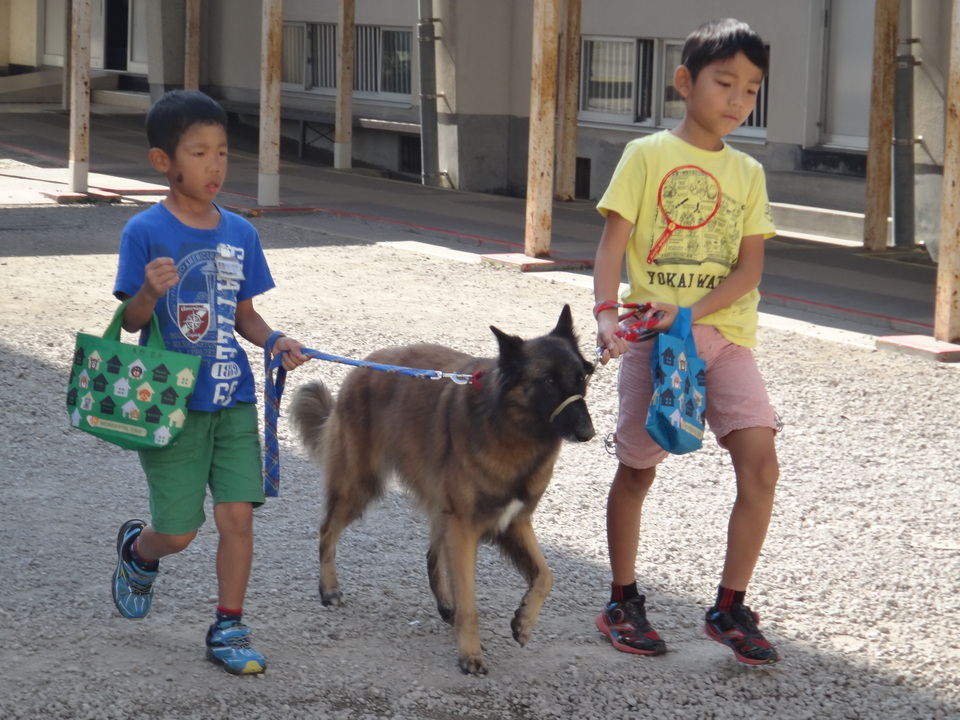 2016年11月 アーカイブ：綾部動物病院